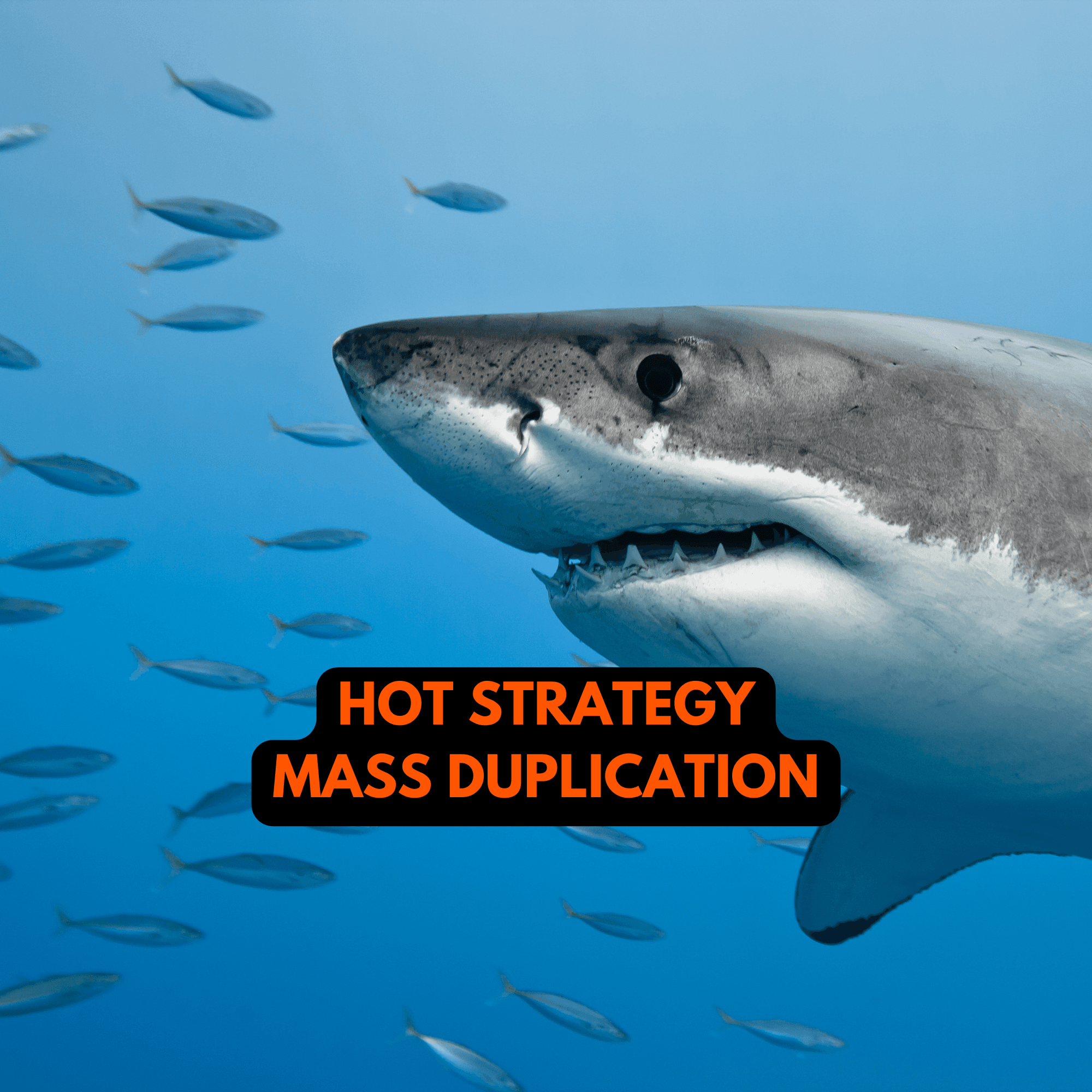 Hot Strategy: Consolidating the Consumer Market By Rapid Brand Duplication