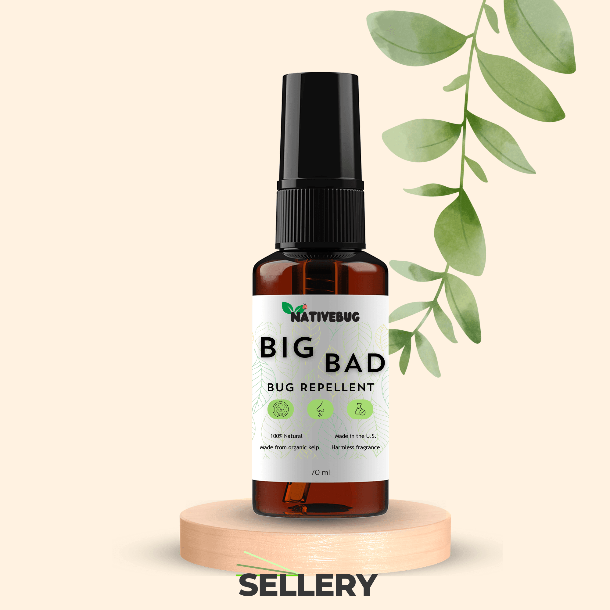 Elevating Conversions through Visual Appeal